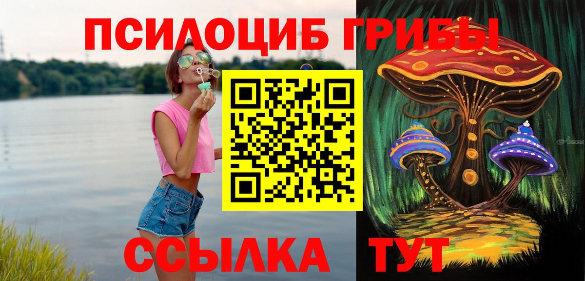 Псилоцибиновые грибы Psilocybe  Псилоцибиновые грибы Psilocybine cubensis  Вход с VPN  Серов 