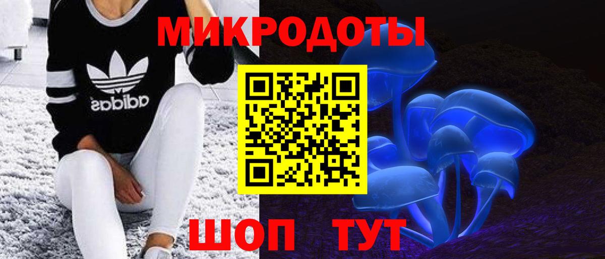 Галлюциногенные грибы Psilocybe Серов